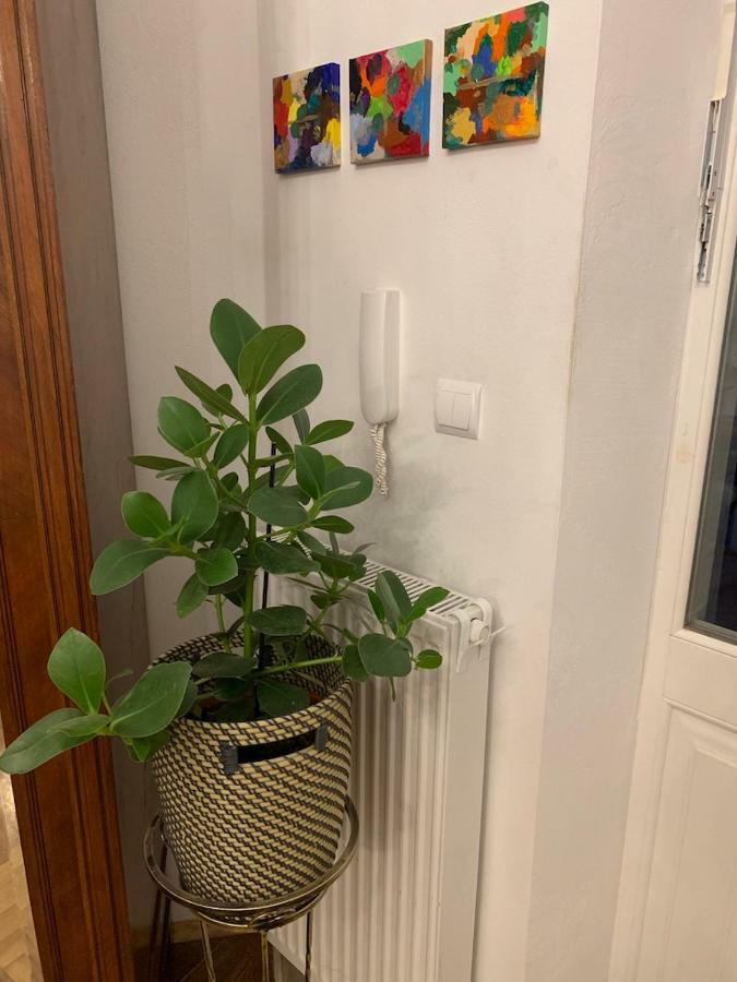 Charming Studio Apartment In The Heart Of The Jewish District! Krakow Dış mekan fotoğraf